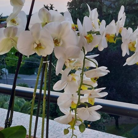 Alloggio Orchidea Monfalcone Luaran gambar